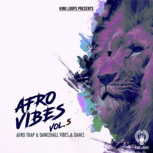Afro Vibes Vol.5 WAV MiDi-DiSCOVER