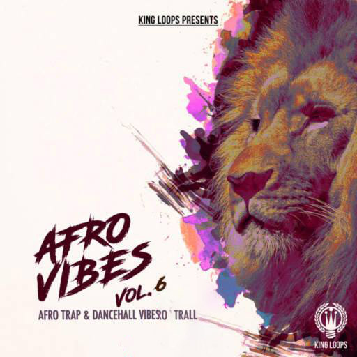 Afro Vibes Vol.6 WAV MiDi-DiSCOVER