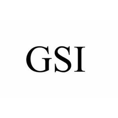 GSI